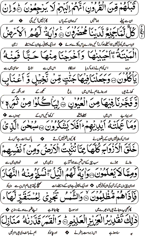 Surah Yaseen with Urdu page  5