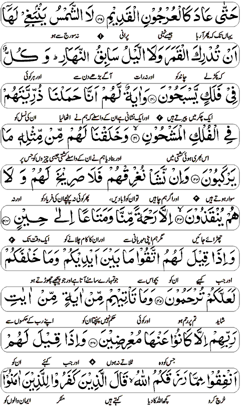 Surah Yaseen with Urdu page 6