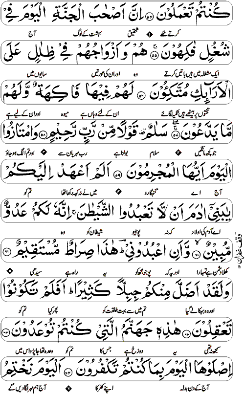 Surah Yaseen with Urdu page 8